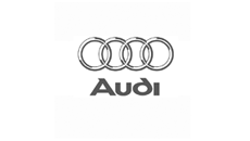 Audi Dash Mount