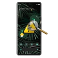 Google Pixel 6 Pro Diagnose