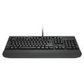 Lenovo 700 Multimedia USB-Tastatur - Nordisches Layout - Schwarz