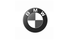BMW Dash Mount