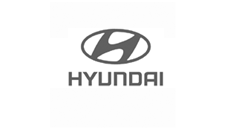 Hyundai Dash Mount