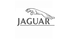 Jaguar Dash Mount