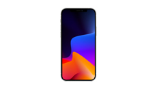 iPhone 13 Pro Max Hüllen