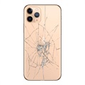 iPhone 11 Pro Rückseiten-Cover Reparatur - nur Glas - Gold
