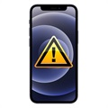 iPhone 12 mini Kamera Linse Glas Reparatur